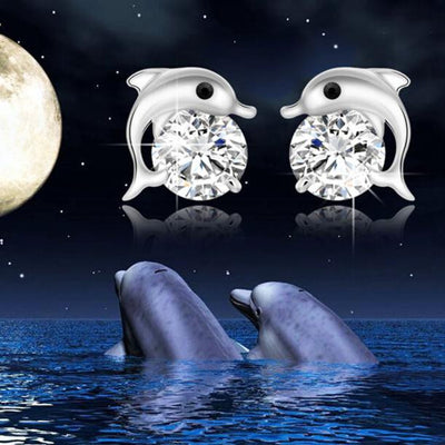 Lovely Crystal Eye Dolphin CZ Stud Earrings Women Sterling Silver Jewelry